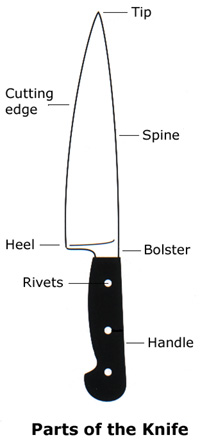 Parts of the knife