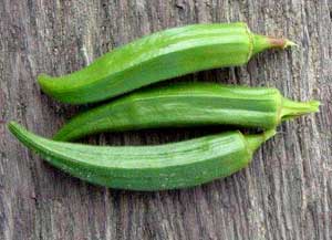 Okra