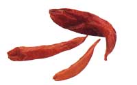 Online Recipes  - Dried Red Chili