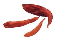 Online Recipes - Dried Red Chili