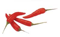 Online Recipe - Fresh Chili