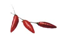 Online Recipes - Bird's Eye Chilies