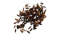 Online Recipes - Cumin