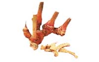 Online Recipes  - Galangal