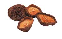 Online Recipes - Dried Black Mushroom