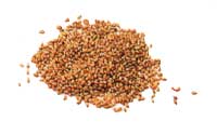 Online Recipes - Sesame seed