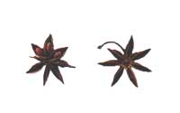 Online Recipes - Star Anise