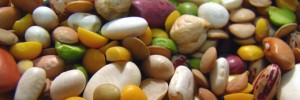 Legumes